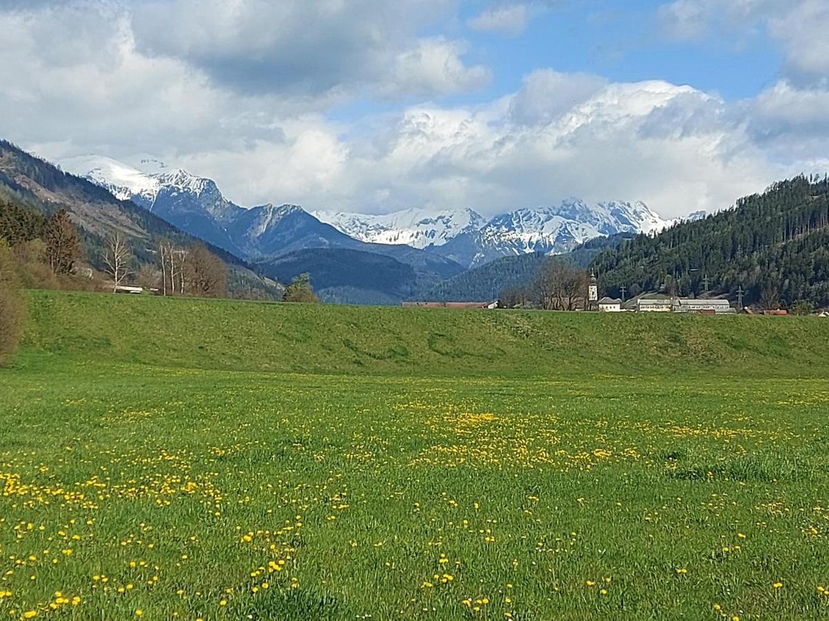Auszeit Steiraland 6 Mit Ueberdachter Terasse Schoenen Garten Und Kostenlosen Parkplatz Leoben  Exteriör bild
